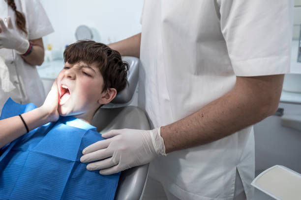 Best Emergency X-Rays and Diagnostics in Chesapeake, WV