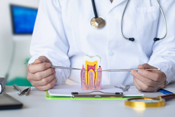Reliable WV Emergency Dental Service Solutions